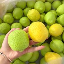 1pc-Giant Lemon Building Block Handmade Ball-Bedroom Toy-Office Toy-Birthday Gift-Halloween Gift-Christmas Gift-Gift-Toys-Games - Multicolor - View 4