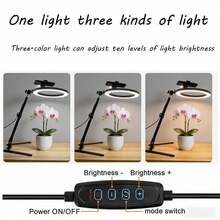 Borriig 10" LED Ring Light With Tripod & Phone Holder, Dimmable Warm/Cool Light 3 Color Modes For Selfie, Live Stream, Video, Photography - Mother's Day Gift,Christmas Gift,Gift For Her - Overhead Mount Light - View 6