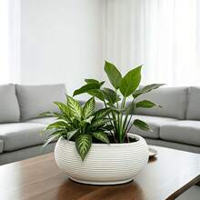 2 Sets Nordic Style Self-Watering Plastic Planters (2 Inner Pots And 2 Outer Pots), With Bird Nest Shaped Horizontal Stripes, Multi-Functional Succulent Planters, Gardening Gifts, Home Decor - B - View 1