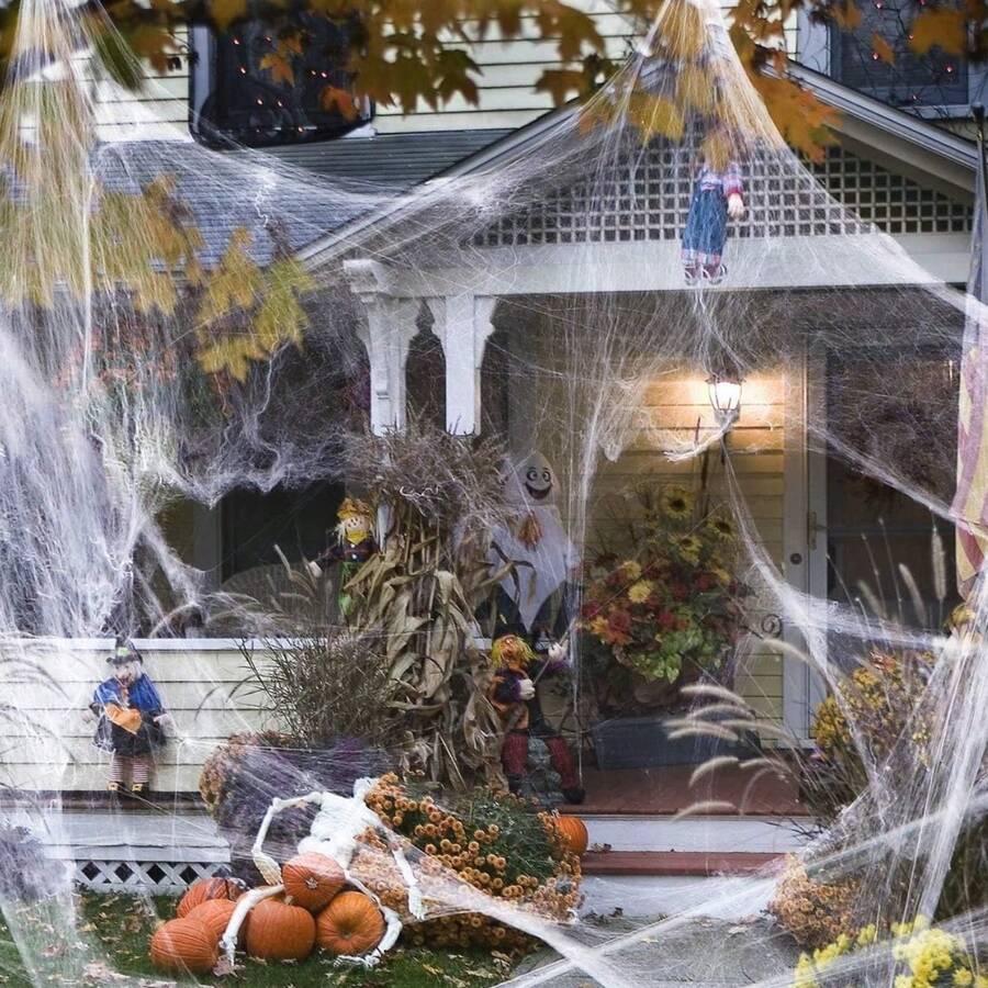 1pc Halloween Spider Web Decoration, Includes Realistic Spider, Super Elastic Spider Web, Suitable For Halloween Indoor And Outdoor Decor - Multicolor - View 1