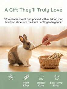 Stik Kunyah Bambu Manis, Mainan Gigit untuk Hewan Peliharaan Kecil, Cocok untuk Hamster, Kelinci, Guinea Pig, Aksesori Menggigit dan Bermain, Memangkas Gigi, Meningkatkan Nafsu Makan, Hiburan Harian, Hadiah Ulang Tahun dan Hari Raya untuk Hewan Peliharaan - View 3