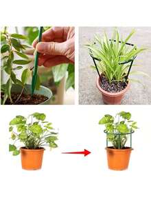 4pcs/8pcs Garden Plant Support Stakes Plastic Semi-Circular Hoop Flower Pot Climbing Plant Rack Peony Flower Stand - Christmas Cactus Support Stand - View 7