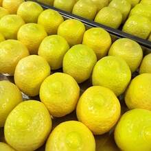 1pc Color-Changing Lemon Squeeze Toy, Crispy ASMR Squishy Ball With Built-In Block Filling, Realistic Fruit Stress Relief Fingertip Toy, Soft TPR Sensory Decompression Toy, Suitable For Adults, Fun Office Desk Relaxation Gift - Multicolor - View 8