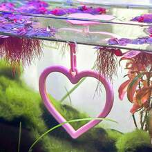 6 Colors Floating Heart-Shaped Betta Fish Swim Ring | Betta Fish Decoration & Entertainment | Anti-Algae Fish Tank Entertainment, Fun Aquarium Decor - A - View 6