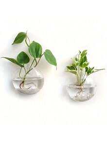 2/4 Packs Wall Hanging Glass Terrarium - Self-Watering Hydroponic Planter For Home Office Decor, Handmade Round Crystal Vase - Multicolor - View 11