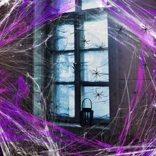1pc Halloween Spider Web Decoration, Includes Realistic Spider, Super Elastic Spider Web, Suitable For Halloween Indoor And Outdoor Decor - Multicolor - View 1