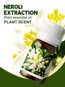 EMBRACEX. 24種植物精油 10ml 芳香精油 薄荷油 葡萄藤 芳香療法 清新空氣 節日禮物 蠟燭製作 肉桂 乳香 薄荷 檸檬草 尤加利 迷迭香 生薑 茶樹 廣藿香 雪松 白麝香 艾草 檸檬香草 黑胡椒 牛至 茴香 檀香 佛手柑 橙花 茉莉 丁香 - PLANT - 查看 16