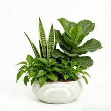 2 Sets Nordic Style Self-Watering Plastic Planters (2 Inner Pots And 2 Outer Pots), With Bird Nest Shaped Horizontal Stripes, Multi-Functional Succulent Planters, Gardening Gifts, Home Decor - B - View 6