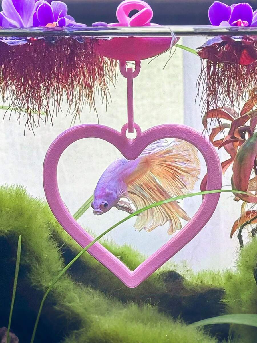 6 Colors Floating Heart-Shaped Betta Fish Swim Ring | Betta Fish Decoration & Entertainment | Anti-Algae Fish Tank Entertainment, Fun Aquarium Decor