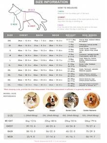 2pcs Mixed Pack Cat & Dog Pet Clothing, Colorblock Rabbit Print Hooded Sweatshirt, Funny Cartoon Rabbit Pattern, Fits Chihuahua, Maltese, Shih Tzu, Corgi Puppy, Ragdoll Cat, Silver Shaded Cat And Other Cats & Dogs - Multicolor - View 8