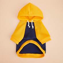2pcs Mixed Pack Cat & Dog Pet Clothing, Colorblock Rabbit Print Hooded Sweatshirt, Funny Cartoon Rabbit Pattern, Fits Chihuahua, Maltese, Shih Tzu, Corgi Puppy, Ragdoll Cat, Silver Shaded Cat And Other Cats & Dogs - Multicolor - View 2