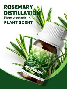 EMBRACEX. 24種植物精油 10ml 芳香精油 薄荷油 葡萄藤 芳香療法 清新空氣 節日禮物 蠟燭製作 肉桂 乳香 薄荷 檸檬草 尤加利 迷迭香 生薑 茶樹 廣藿香 雪松 白麝香 艾草 檸檬香草 黑胡椒 牛至 茴香 檀香 佛手柑 橙花 茉莉 丁香 - PLANT - 查看 13