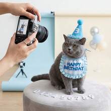 1pc Set - Pet Birthday Hat & Bandana Set, Solves Pet Wearing Slipping And Tightness Discomfort, Suitable For Birthday Celebrations, Theme Parties And Cute Pet Photo Shoots, Adjustable Cat & Dog Birthday Costume Kit. - Multicolor - View 9