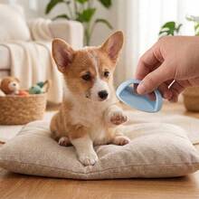 4pcs, Pet Dog Nail Grinding Tool + 3pcs Replaceable Sandpaper, Quiet Upgraded Dog Nail Care Gadget, Professional Pet Grooming, And Comfortable Home Essential - View 5
