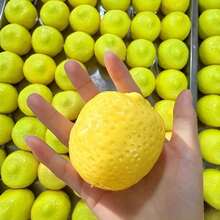 1pc-Giant Lemon Building Block Handmade Ball-Bedroom Toy-Office Toy-Birthday Gift-Halloween Gift-Christmas Gift-Gift-Toys-Games - Multicolor - View 5