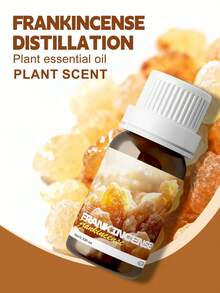 EMBRACEX. 24種植物精油 10ml 芳香精油 薄荷油 葡萄藤 芳香療法 清新空氣 節日禮物 蠟燭製作 肉桂 乳香 薄荷 檸檬草 尤加利 迷迭香 生薑 茶樹 廣藿香 雪松 白麝香 艾草 檸檬香草 黑胡椒 牛至 茴香 檀香 佛手柑 橙花 茉莉 丁香 - PLANT - 查看 25
