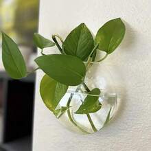 2/4 Packs Wall Hanging Glass Terrarium - Self-Watering Hydroponic Planter For Home Office Decor, Handmade Round Crystal Vase - Multicolor - View 4