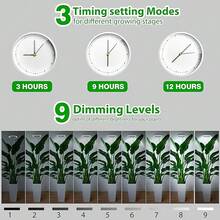 1Pc USB-Powered Full-Spectrum Plant Grow Light-A Modern, Circular Floor Lamp Suitable For All Kinds Of Potted Plants; Features A Timer Function And Multiple Spectrum Modes; Perfect For Succulents And An Ideal Gift For Plant Enthusiasts. - Large Grow Light - View 5