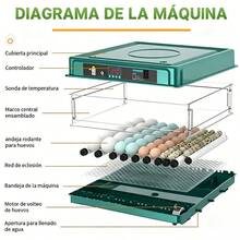 Egg Handling Supplies - US A Type Plug(110-127V) - View 4