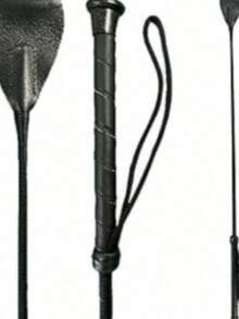 1pc Outdoor Horse Training Whip, Suitable For Beginner Horse Riding Training - Multicolor - View 1