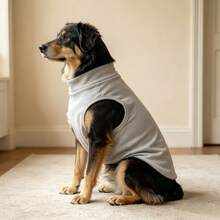 1 Buah Rompi Anjing Tanpa Lengan Kerah Tinggi, Pakaian Hewan Peliharaan Rajut Lembut dengan Aplikasi Tempelan Beruang Lucu, Pakaian Rumah Hangat Model Pullover untuk Anjing Ras Sedang hingga Besar - Light Grey - View 5
