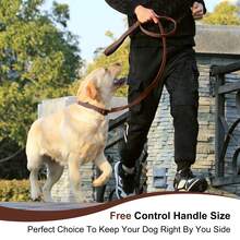 Lynxking 1PC Dog Leash,Durable Webbing Lead With Comfortable Handle And D-Ring For Small Medium And Large Dogs - Brown - View 7