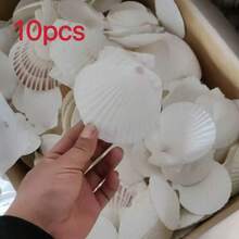 5/10個大號白色扇貝殼，10.16cm-12.7cm，天然海貝殼，適用於DIY手工、繪畫、海灘婚禮裝飾與居家裝飾，大包裝光滑亮面貝殼 - 白色 - 查看 12