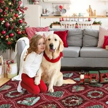 Wanfeeso Christmas Tree Pattern Area Rug – Classic Holiday Floor Carpet Featuring Beautiful Christmas Tree Motifs, Perfect For Living Rooms, Bedrooms, And Entryways - Red - View 5