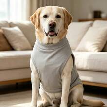 1 Buah Rompi Anjing Tanpa Lengan Kerah Tinggi, Pakaian Hewan Peliharaan Rajut Lembut dengan Aplikasi Tempelan Beruang Lucu, Pakaian Rumah Hangat Model Pullover untuk Anjing Ras Sedang hingga Besar - Light Grey - View 6