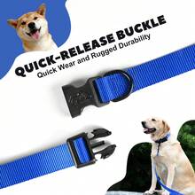 Dog Leash And Collar Set, Nylon Webbing Adjustable Collar With 5FT Walking Lead For Medium And Large Dogs - Blue - View 5