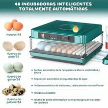 Egg Handling Supplies - US A Type Plug(110-127V) - View 8