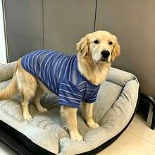1pc Striped Mesh Dog T-Shirt, Breathable Quick-Dry Short Sleeve Pet Clothing, Cool Summer Sun Protection Dog Outfit, Suitable For Large And Medium Dogs Daily Casual Walks - Blue - View 4