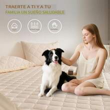 Mattress Pads - White-1.5* 2m - View 3