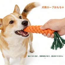 1pc Carrot Pet Toy, Durable Chew & Teething Toy For Dogs, Interactive Biting Toy For Cats - Multicolor - View 2