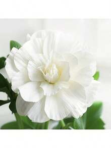 1pc Artificial PE Foam Large Flower Window Wedding Event Background Decoration Cm - White - View 1