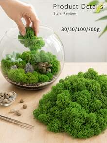 Decorative Green Moss, Suitable For Tank Crafts, Soft Natural Moss Filler, Suitable For Succulent Potted Plants, Fairy Garden, Floral Arrangement, Tabletop Centerpiece Decoration And DIY Display, Christmas, Halloween, Easter And Seasonal Home Project Greenery Decoration - Multicolor - View 2