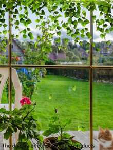 1pc 2D Maintenance-Free Artificial Green Vine, Ivy Leaves Window Top Hanging, Indoor Window Self-Adhesive Decoration - Multicolor - View 2