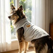 1 Buah Rompi Anjing Tanpa Lengan Kerah Tinggi, Pakaian Hewan Peliharaan Rajut Lembut dengan Aplikasi Tempelan Beruang Lucu, Pakaian Rumah Hangat Model Pullover untuk Anjing Ras Sedang hingga Besar - Light Grey - View 8