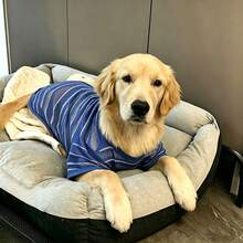 1pc Striped Mesh Dog T-Shirt, Breathable Quick-Dry Short Sleeve Pet Clothing, Cool Summer Sun Protection Dog Outfit, Suitable For Large And Medium Dogs Daily Casual Walks - Blue - View 6