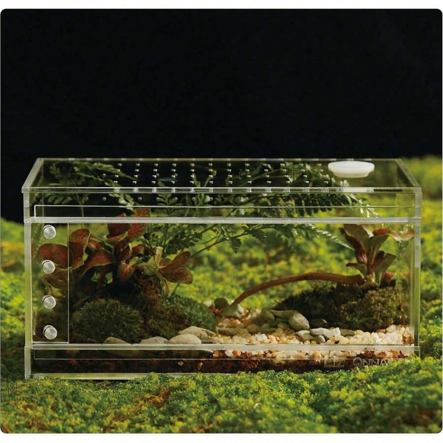Acrylic Terrarium For Reptiles And Spiders, Small/Medium/Large Leak-Proof Breeding Box (Horizontal/Vertical), Suitable For Tarantulas, Jumping Spiders, Frogs And Geckos (Small, Horizontal) - Clear - View 1