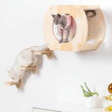 Wooden Cat Climbing Tree Indoor Cat Toy Window Cat Hammock Wall-Mounted Cat Bed Cat Jumping Board Solid Wood Cat Wall - Multicolor - View 2