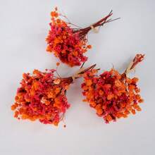 1/3/6/9/12Pcs Versatile Mini Artificial Flower Bouquets Suitable For Christmas Halloween Gathering Home Decorations Great For Card Embellishments Wedding Favour Box Fillers And Groomsmen Boutonnieres - MY-819 - View 5