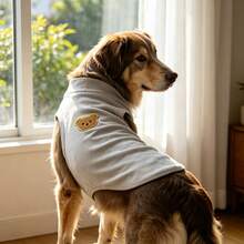 1 Buah Rompi Anjing Tanpa Lengan Kerah Tinggi, Pakaian Hewan Peliharaan Rajut Lembut dengan Aplikasi Tempelan Beruang Lucu, Pakaian Rumah Hangat Model Pullover untuk Anjing Ras Sedang hingga Besar - Light Grey - View 7