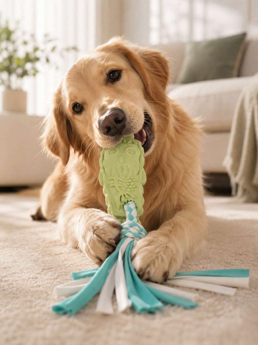 1pc Macaron Color Tassel Rope Pet Chew Toy, Interactive Pull Training Teething Stick, Durable Anti-Bite Chewing Accessory, Cute Daily Teething Toy For Small And Medium Puppies - Multicolor - View 1