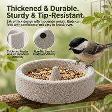 1pc Round Volcanic Stone Bird Food Bowl, Durable & Easy-Clean, Natural Pumice Chewing & Nail Grinding Dish For Parrots & Small Birds - one-size - View 10