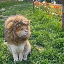 1pc L/M/S Adjustable Lion Mane Wig, Fun Role Play Hat, Cute Cat Lion Headpiece, Washable Lion Fur Costume, Comfortable Fit With Ears, Suitable For Small Cats/Dogs, Kitten Dress Up Role Play And Photo, Pet Accessory - Multicolor - View 4