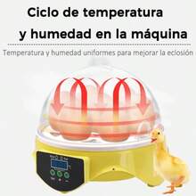 Egg Handling Supplies - US A Type Plug(110-127V) - View 3