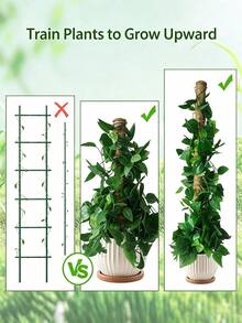Monstera Plant Support Moss Pole, Stackable Coconut Fiber | Moss Totem Support Rod High Stand Plant Growth Pole Indoor Live Plant Moss Fixing Rack - Multicolor - View 7