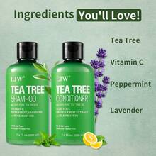 Set Sampo dan Kondisioner Tea Tree – Dengan Minyak Tea Tree, Mint, dan Rosemary - Perawatan Kulit Kepala Kering untuk Wanita dan Pria - lainnya - View 3