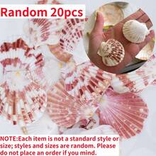 Aquarium Beach Treasure Mix - Shells & Sea Shells - Activate Fish Tank And Glass Tank - A - View 20